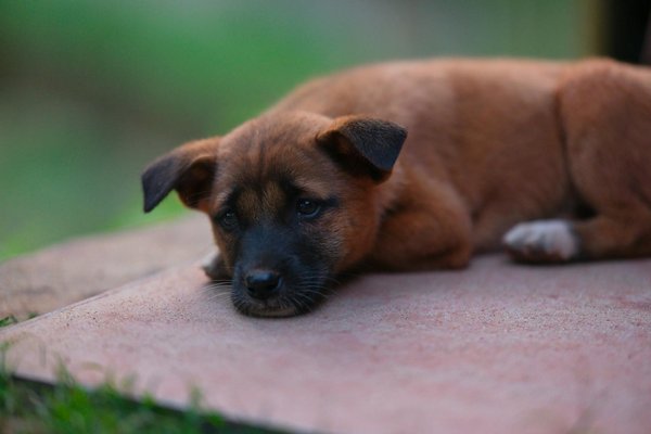 Tipps zur Pflege von Elektroauto-Batterien